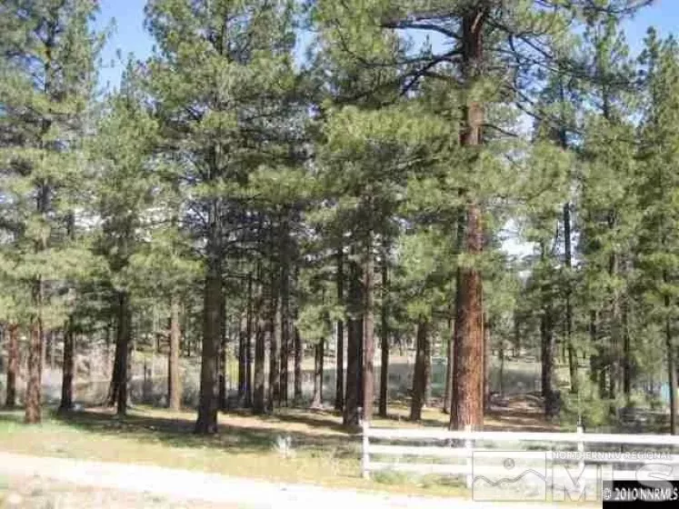 0 Franktown, Washoe Valley, Nevada 89704, ,Land,Residential,Franktown,220016231