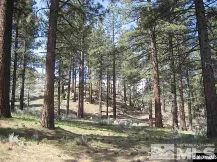 0 Franktown, Washoe Valley, Nevada 89704, ,Land,Residential,Franktown,220016231