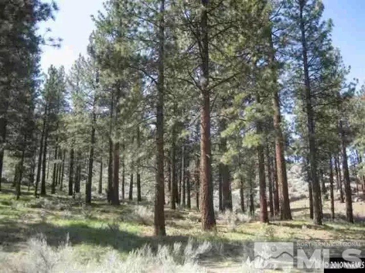0 Franktown, Washoe Valley, Nevada 89704, ,Land,Residential,Franktown,220016231