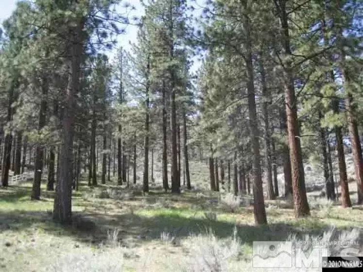 0 Franktown, Washoe Valley, Nevada 89704, ,Land,Residential,Franktown,220016231