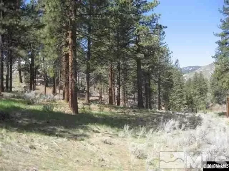0 Franktown, Washoe Valley, Nevada 89704, ,Land,Residential,Franktown,220016231
