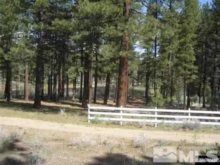 0 Franktown, Washoe Valley, Nevada 89704, ,Land,Residential,Franktown,220016231