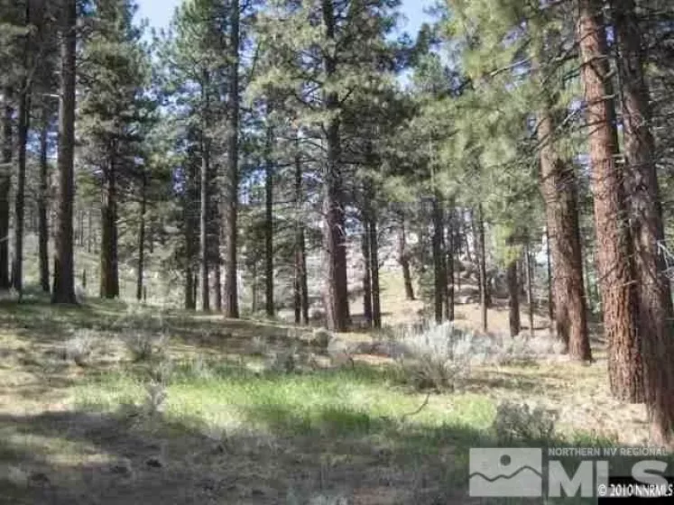 0 Franktown, Washoe Valley, Nevada 89704, ,Land,Residential,Franktown,220016231