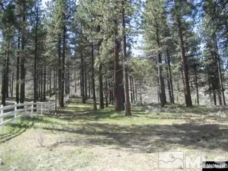 0 Franktown, Washoe Valley, Nevada 89704, ,Land,Residential,Franktown,220016231