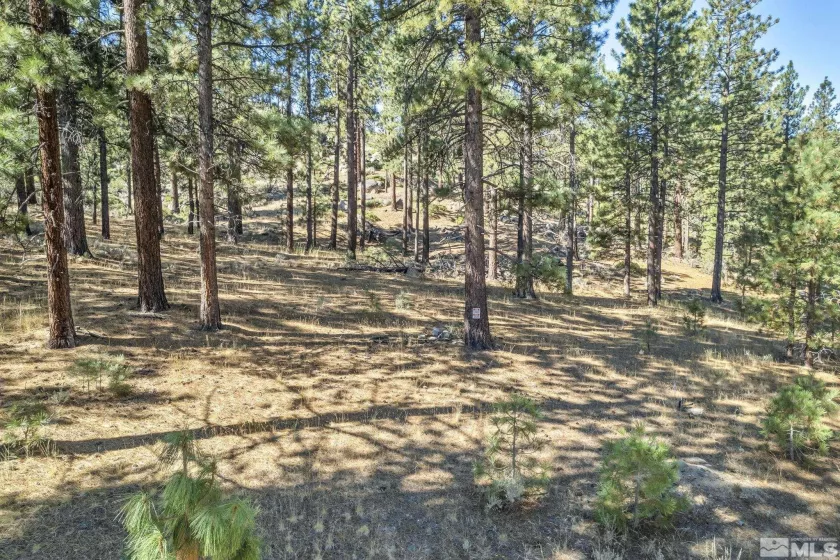 0 Franktown, Washoe Valley, Nevada 89704, ,Land,Residential,Franktown,220016231