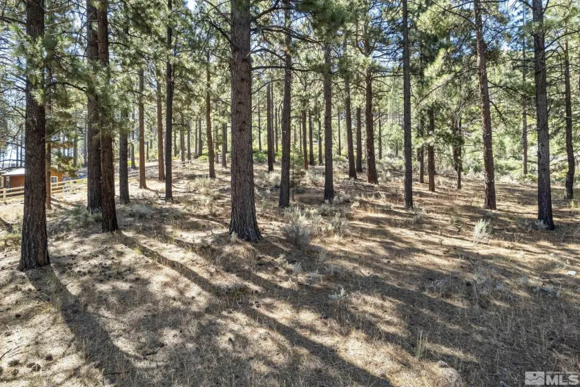 0 Franktown, Washoe Valley, Nevada 89704, ,Land,Residential,Franktown,220016231