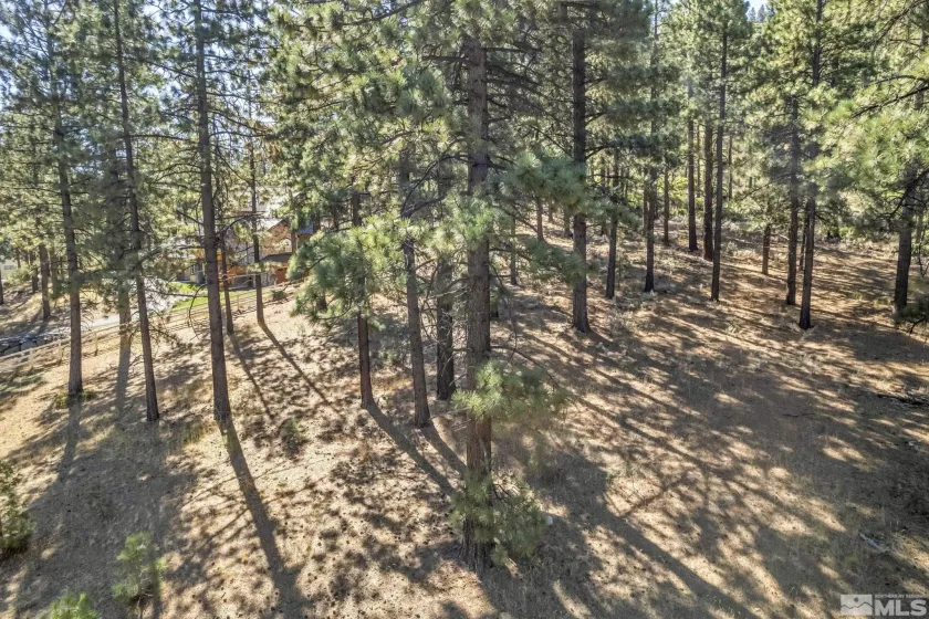0 Franktown, Washoe Valley, Nevada 89704, ,Land,Residential,Franktown,220016231