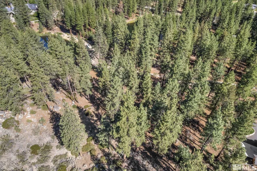0 Franktown, Washoe Valley, Nevada 89704, ,Land,Residential,Franktown,220016231