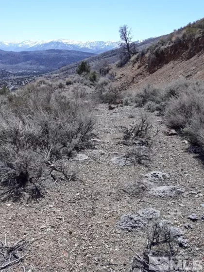 1196 slate, Wellington, Nevada 89444, ,Land,Residential,slate,220014305
