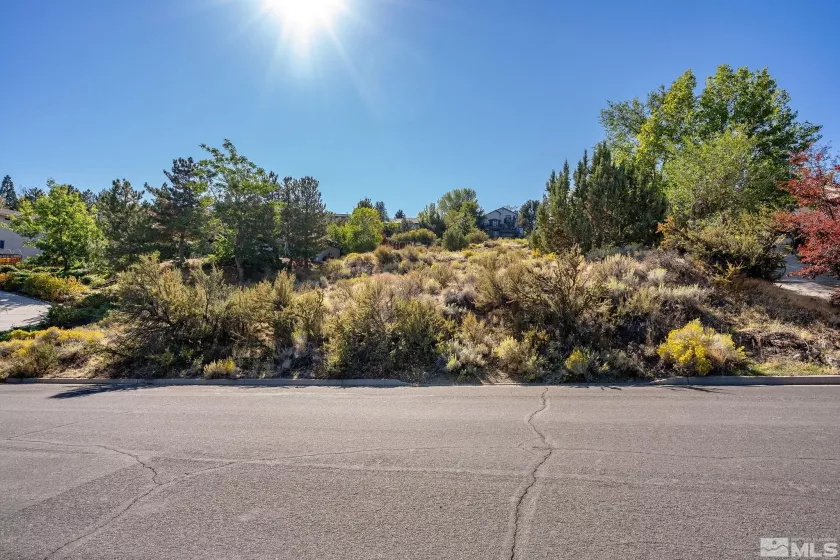 2860 Sagittarius, Reno, Nevada 89509, ,Land,Residential,Sagittarius,220014865