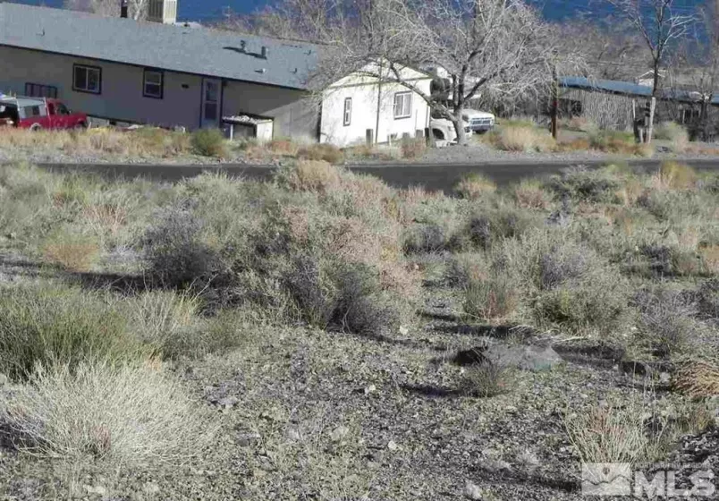 636 Walker, Walker Lake, Nevada 89415, ,Land,Residential,Walker,240006556