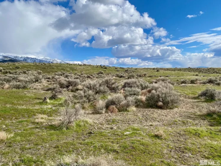 11555 Brooks Canyon, Lovelock, Nevada 89419, ,Land,Residential,Brooks Canyon,240003595