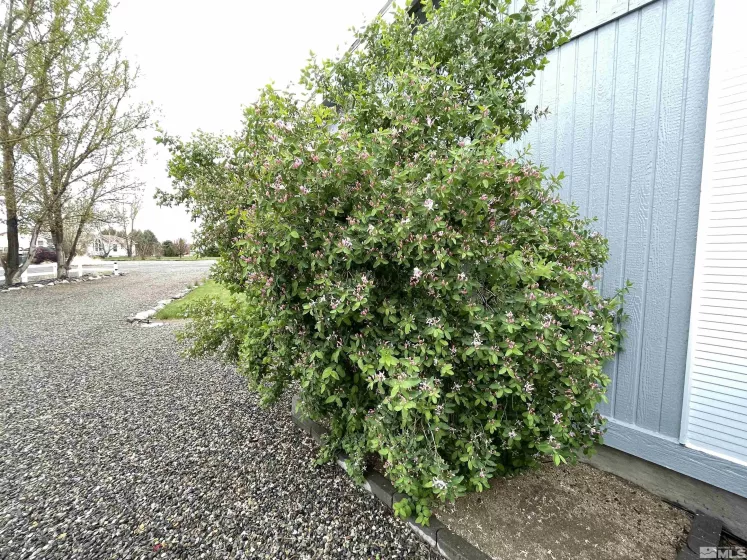3075 Cougar, Winnemucca, Nevada 89445, 3 Bedrooms Bedrooms, ,2 BathroomsBathrooms,Residential,Residential,Cougar,250005947