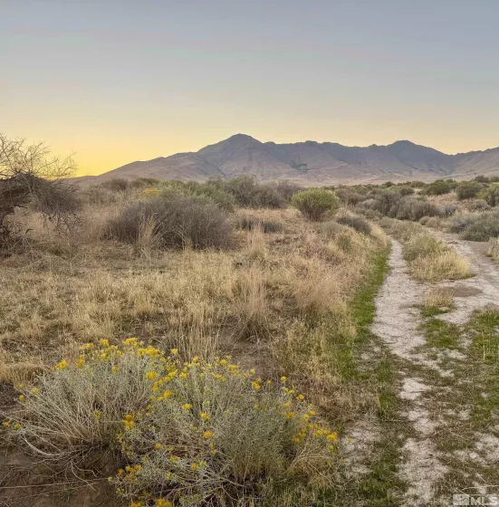 0 US Highway 95, Winnemucca, Nevada 89445, ,Land,Residential,US Highway 95,240003986