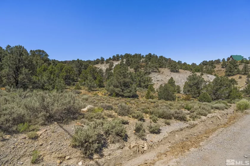 2080 Empire, Reno, Nevada 89521, ,Land,Residential,Empire,240010118