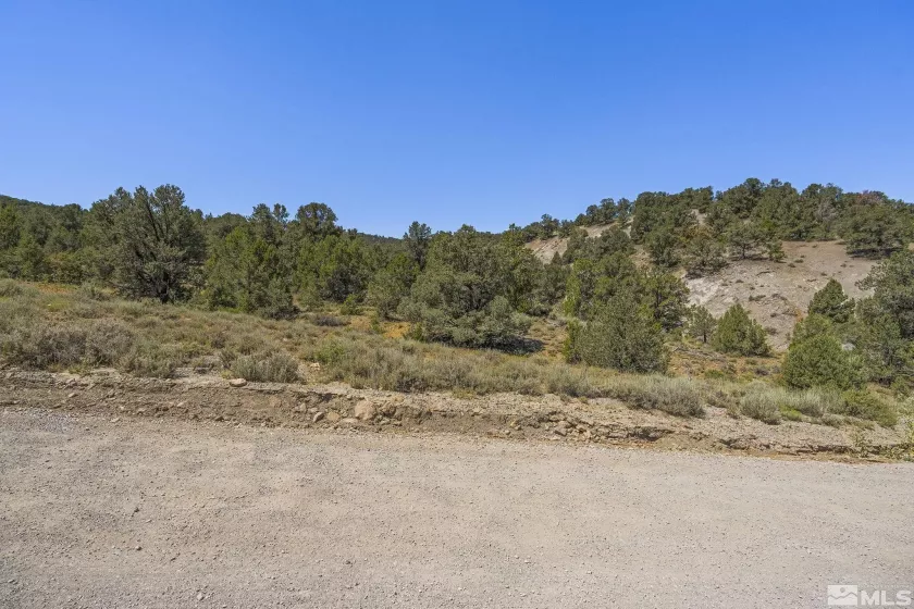 2080 Empire, Reno, Nevada 89521, ,Land,Residential,Empire,240010118
