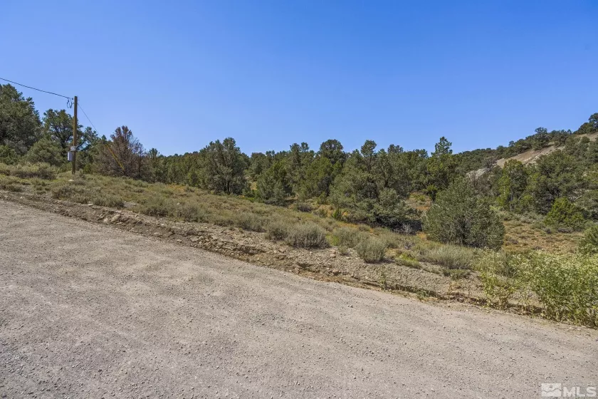 2080 Empire, Reno, Nevada 89521, ,Land,Residential,Empire,240010118