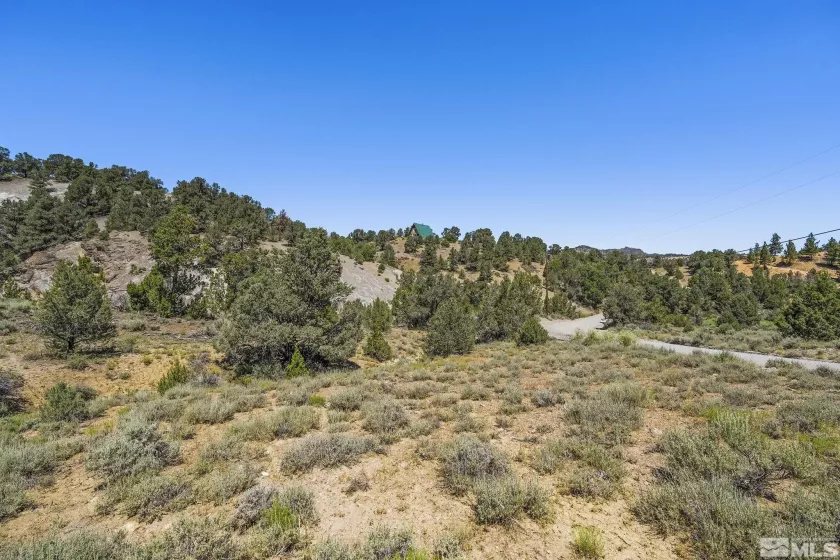 2080 Empire, Reno, Nevada 89521, ,Land,Residential,Empire,240010118