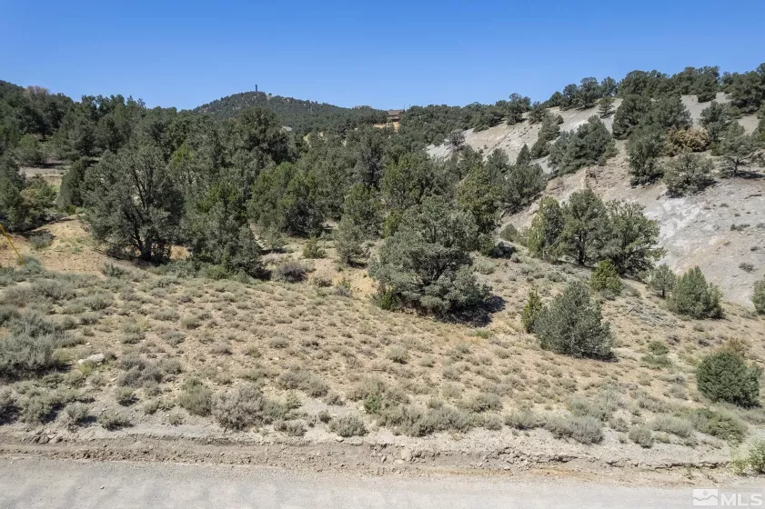 2080 Empire, Reno, Nevada 89521, ,Land,Residential,Empire,240010118