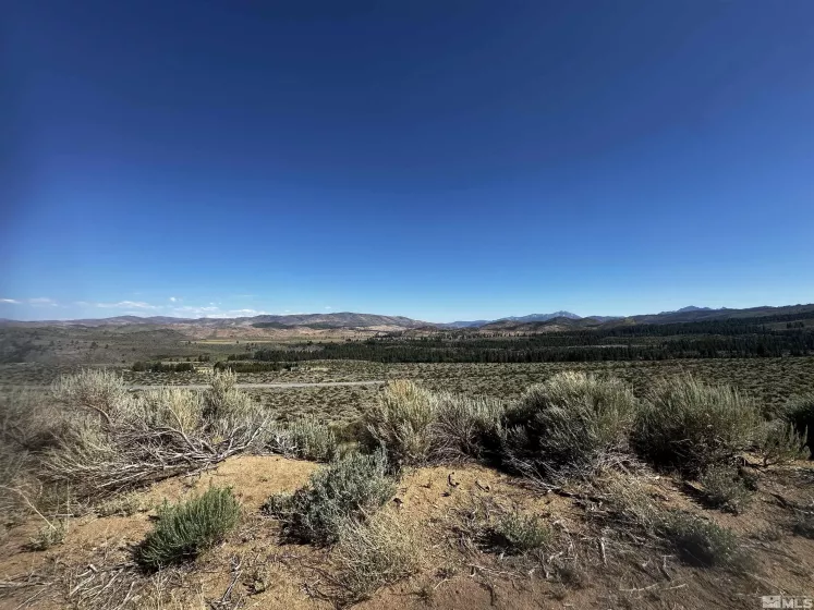550 Emigrant, Woodfords, California 96120, ,Land,Residential,Emigrant,240010160