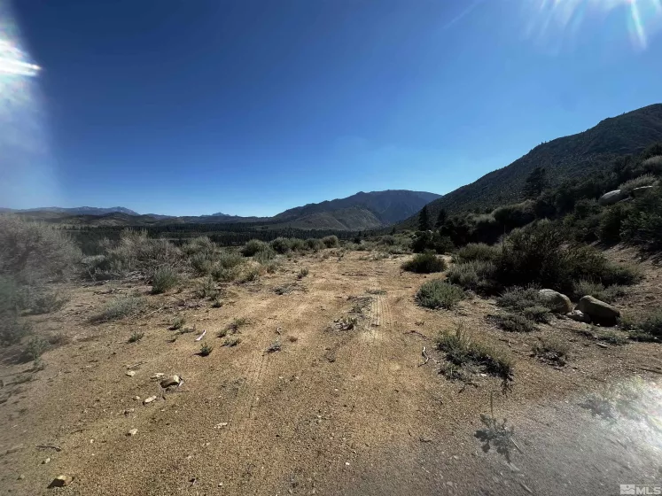 550 Emigrant, Woodfords, California 96120, ,Land,Residential,Emigrant,240010160