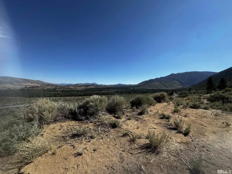 550 Emigrant, Woodfords, California 96120, ,Land,Residential,Emigrant,240010160