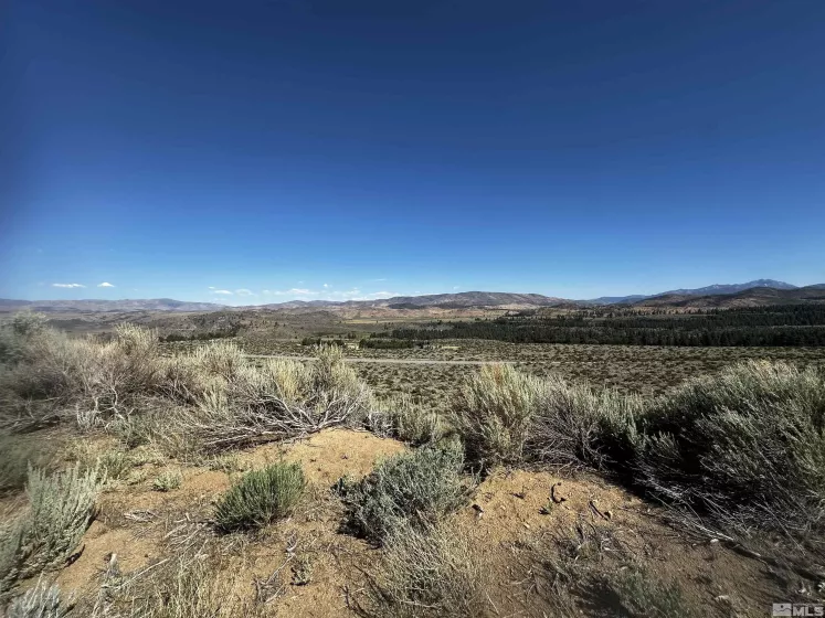 550 Emigrant, Woodfords, California 96120, ,Land,Residential,Emigrant,240010160
