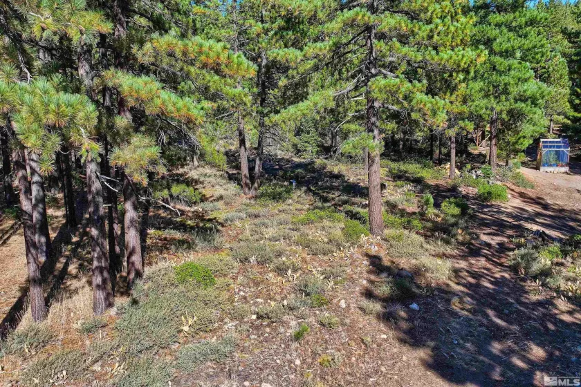 0 Mountain Haven, Reno, Nevada 89511, ,Land,Residential,Mountain Haven,240010856