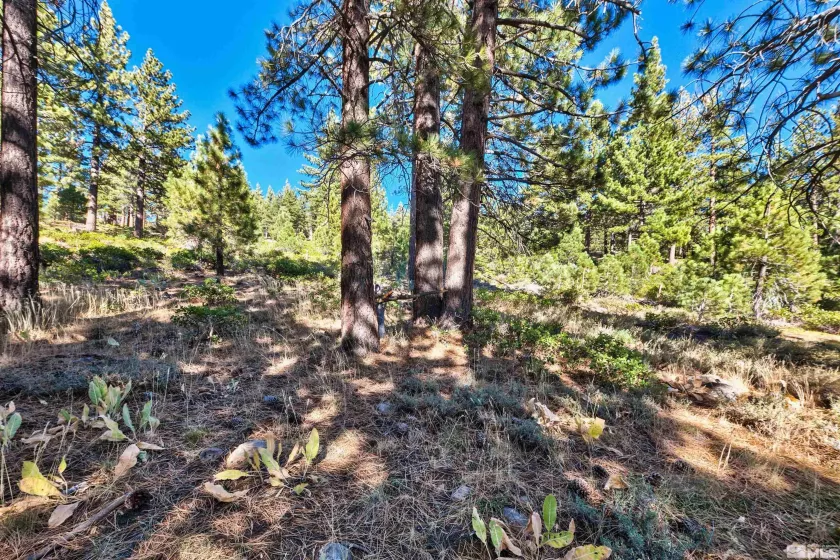 0 Mountain Haven, Reno, Nevada 89511, ,Land,Residential,Mountain Haven,240010856