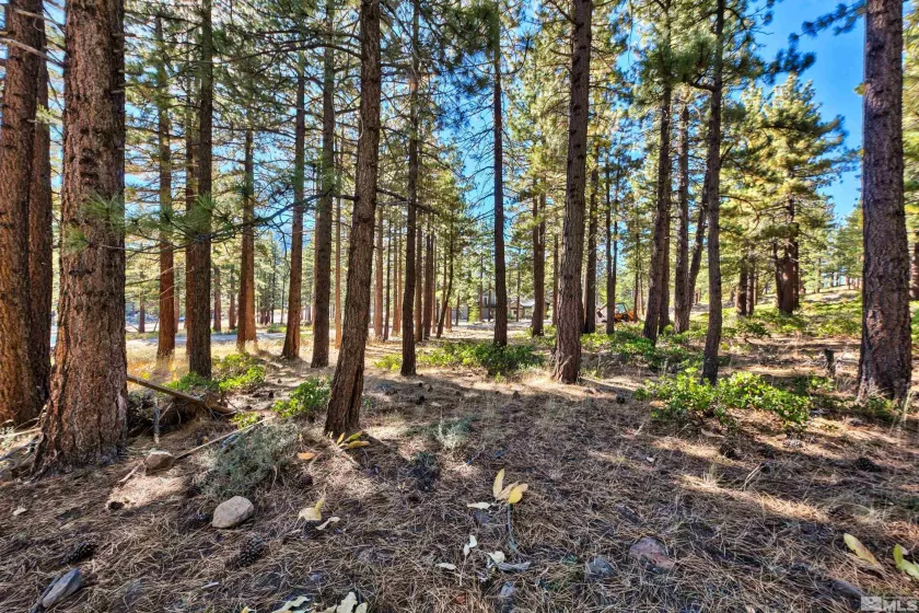 0 Mountain Haven, Reno, Nevada 89511, ,Land,Residential,Mountain Haven,240010856