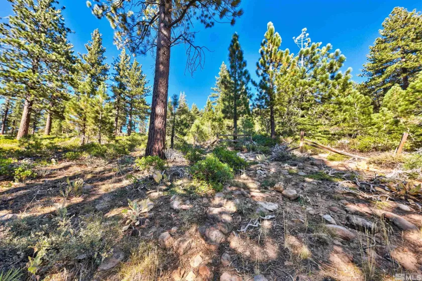 0 Mountain Haven, Reno, Nevada 89511, ,Land,Residential,Mountain Haven,240010856