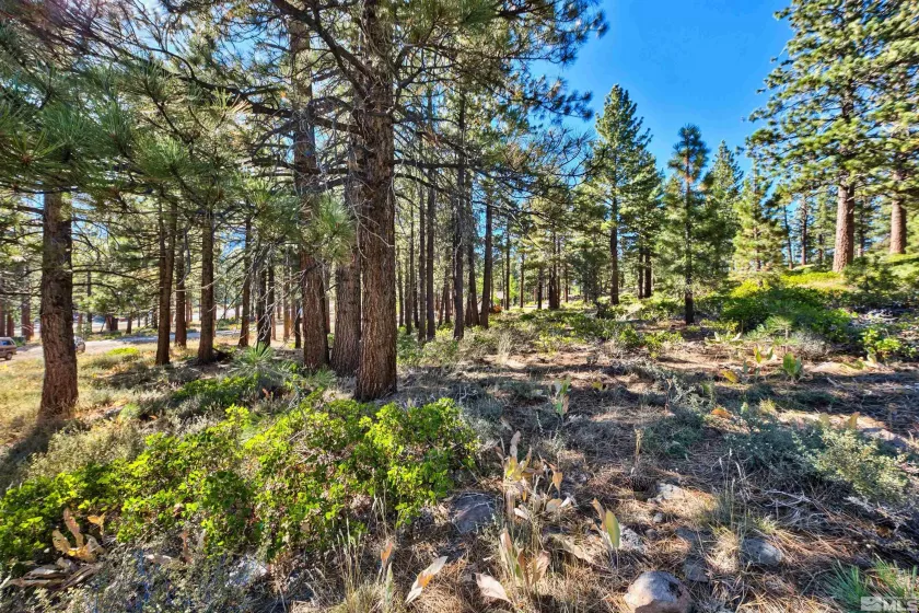 0 Mountain Haven, Reno, Nevada 89511, ,Land,Residential,Mountain Haven,240010856