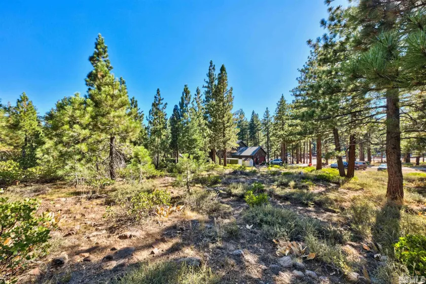 0 Mountain Haven, Reno, Nevada 89511, ,Land,Residential,Mountain Haven,240010856
