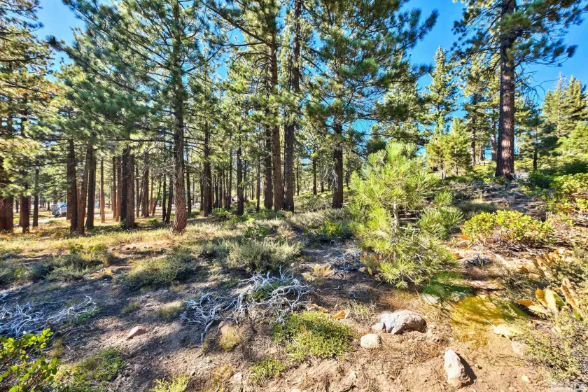 0 Mountain Haven, Reno, Nevada 89511, ,Land,Residential,Mountain Haven,240010856