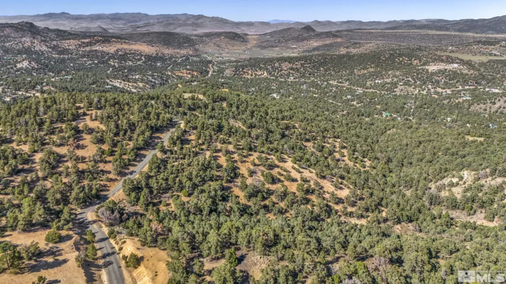 580 Phoenix, Reno, Nevada 89521, ,Land,Residential,Phoenix,240008517