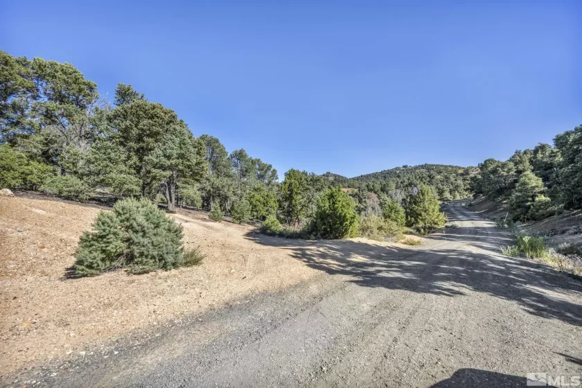 580 Phoenix, Reno, Nevada 89521, ,Land,Residential,Phoenix,240008517