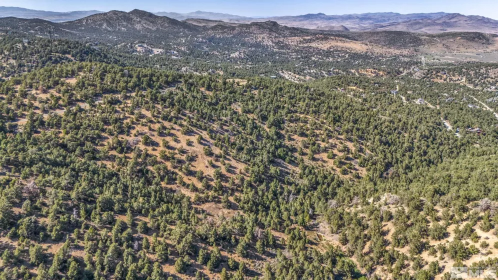 580 Phoenix, Reno, Nevada 89521, ,Land,Residential,Phoenix,240008517
