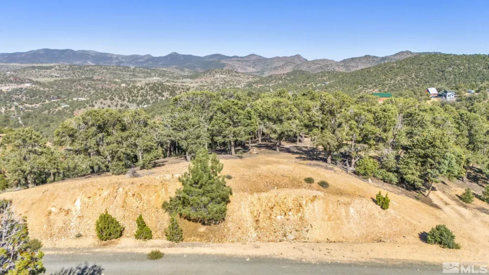 580 Phoenix, Reno, Nevada 89521, ,Land,Residential,Phoenix,240008517