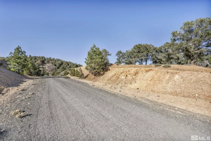580 Phoenix, Reno, Nevada 89521, ,Land,Residential,Phoenix,240008517
