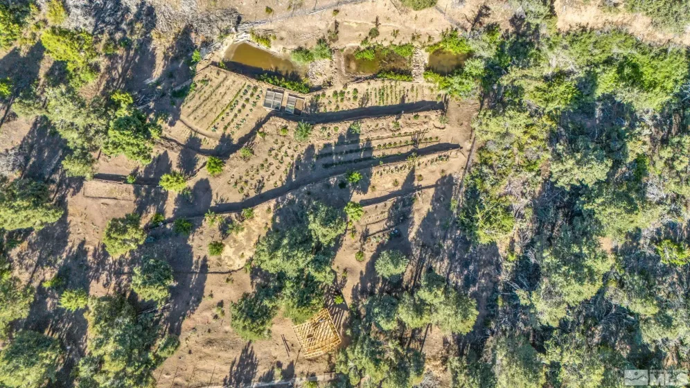 580 Phoenix, Reno, Nevada 89521, ,Land,Residential,Phoenix,240008517