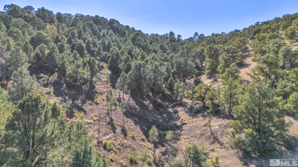 580 Phoenix, Reno, Nevada 89521, ,Land,Residential,Phoenix,240008517