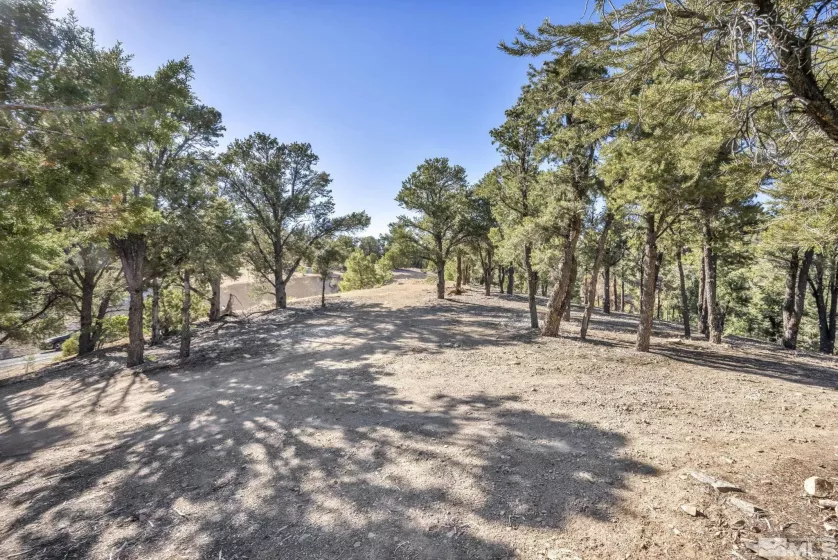 580 Phoenix, Reno, Nevada 89521, ,Land,Residential,Phoenix,240008517