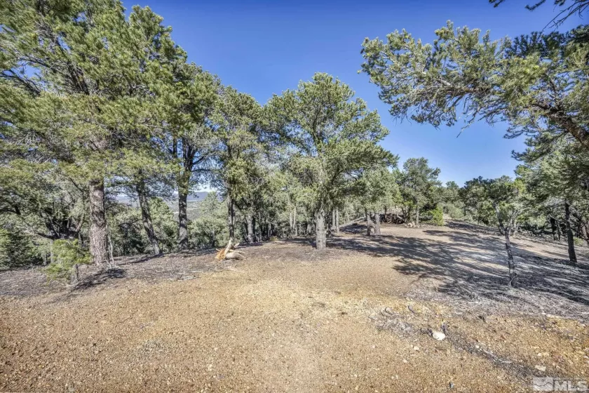 580 Phoenix, Reno, Nevada 89521, ,Land,Residential,Phoenix,240008517