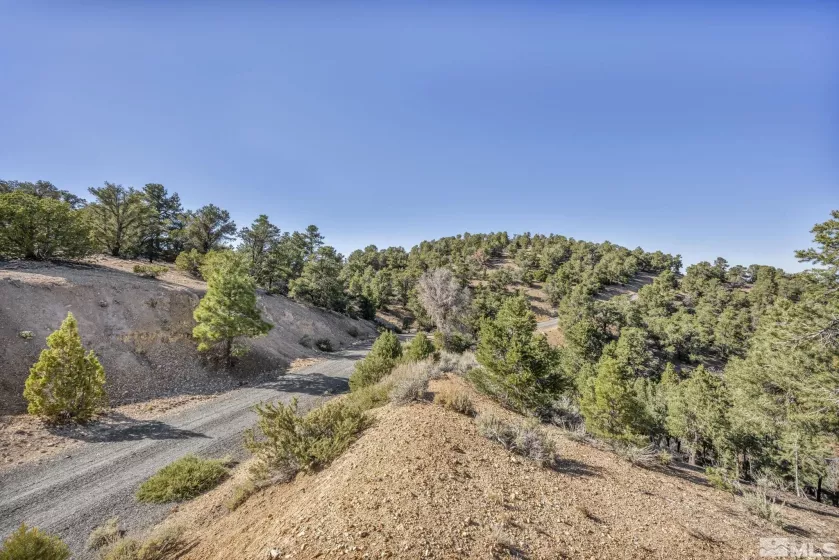 580 Phoenix, Reno, Nevada 89521, ,Land,Residential,Phoenix,240008517