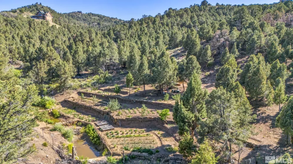 580 Phoenix, Reno, Nevada 89521, ,Land,Residential,Phoenix,240008517