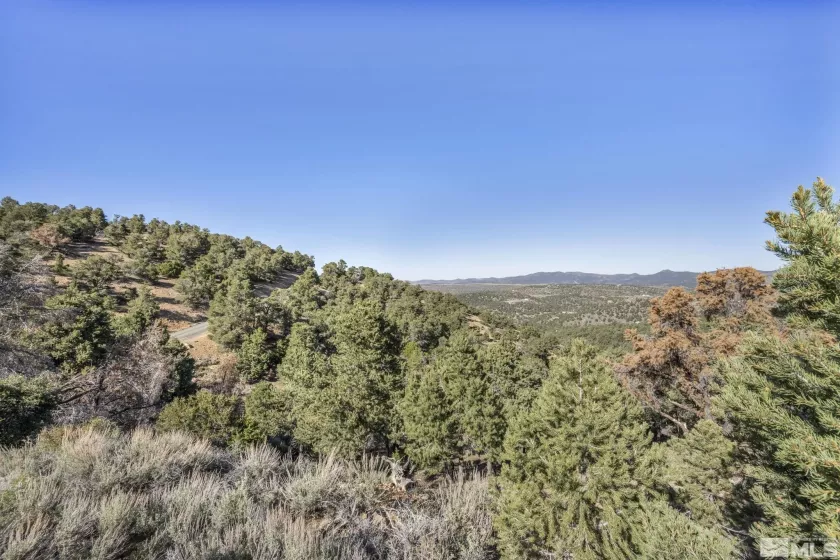 580 Phoenix, Reno, Nevada 89521, ,Land,Residential,Phoenix,240008517