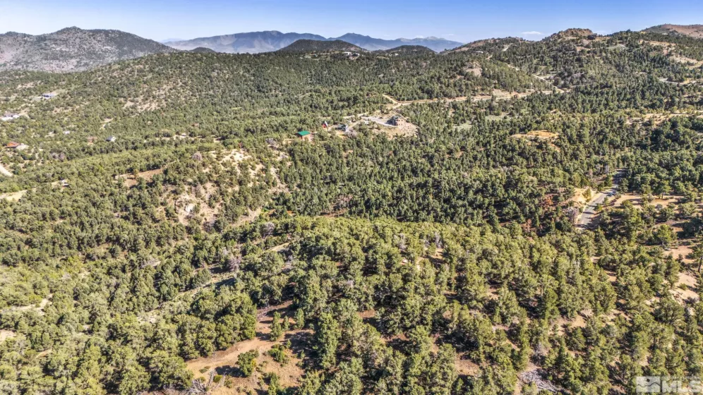 580 Phoenix, Reno, Nevada 89521, ,Land,Residential,Phoenix,240008517
