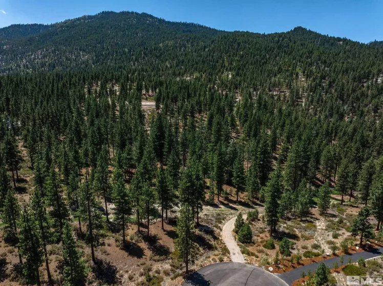121 Chamberlain, Carson City, Nevada 89705, ,Land,Residential,Chamberlain,240010592