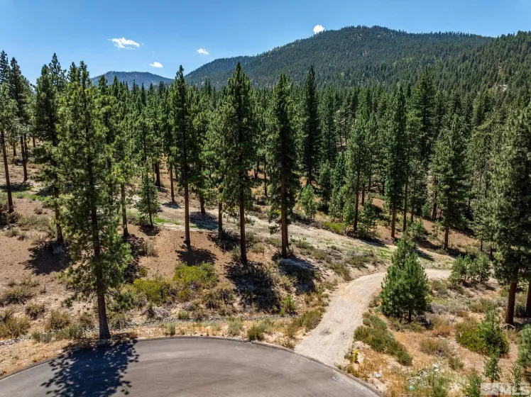 121 Chamberlain, Carson City, Nevada 89705, ,Land,Residential,Chamberlain,240010592