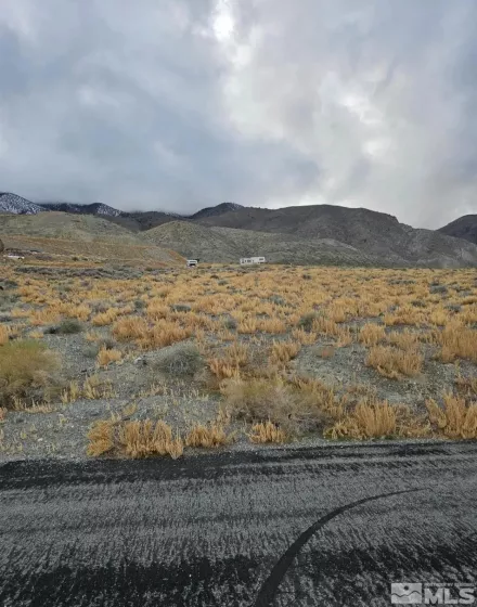 350 Walker, Walker Lake, Nevada 89415, ,Land,Residential,Walker,240007031
